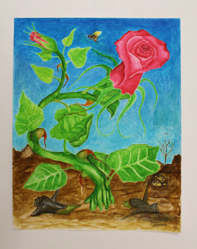 The Hope of New Life