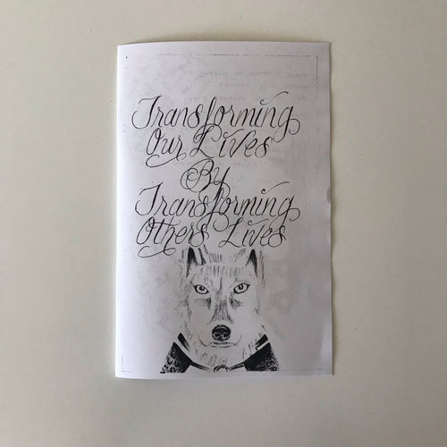 Transforming Our Lives Zine